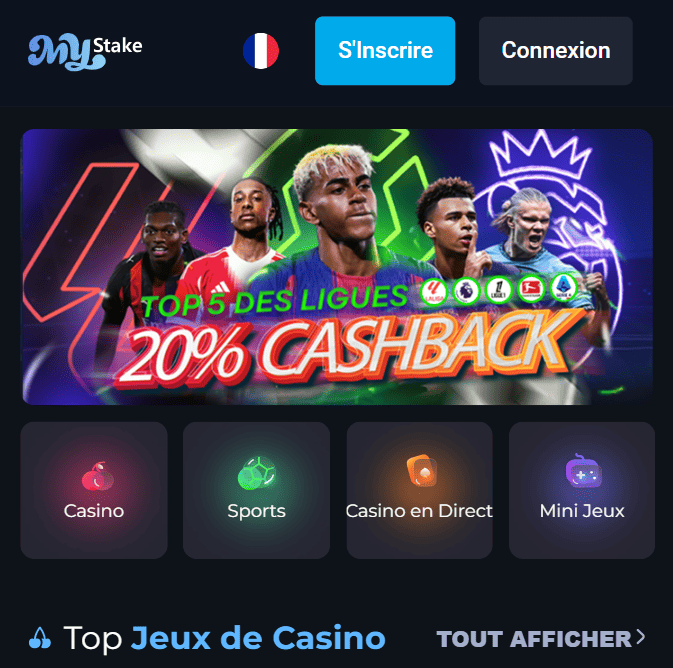 Français My Stake Avis pour Joueurs